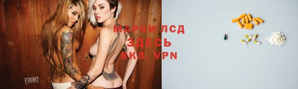 крисы Алексин