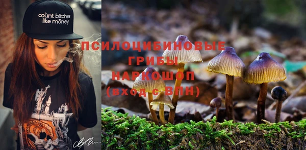 прущие крисы Алзамай