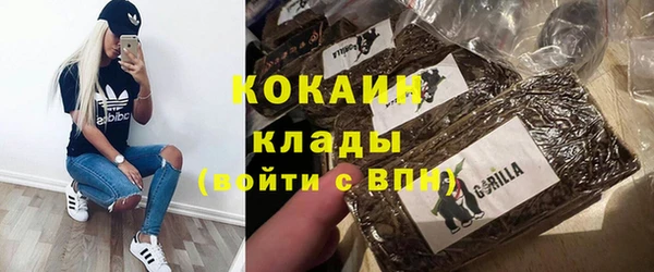 крисы Алексин