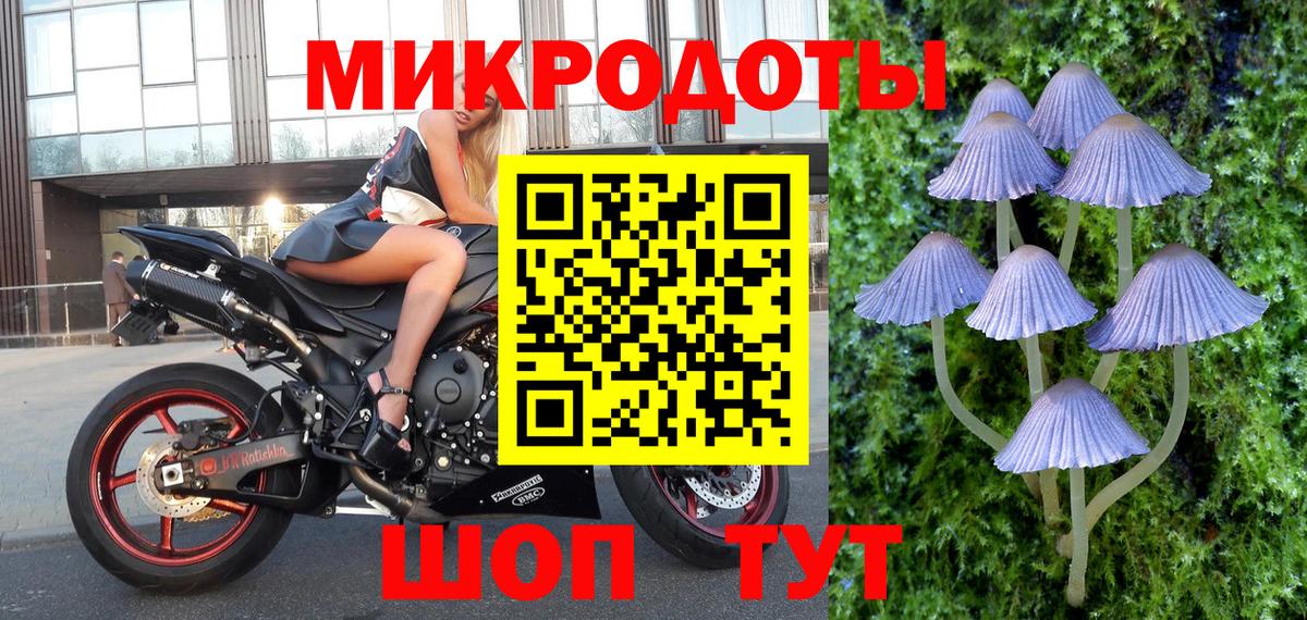 Псилоцибиновые грибы мицелий Родники